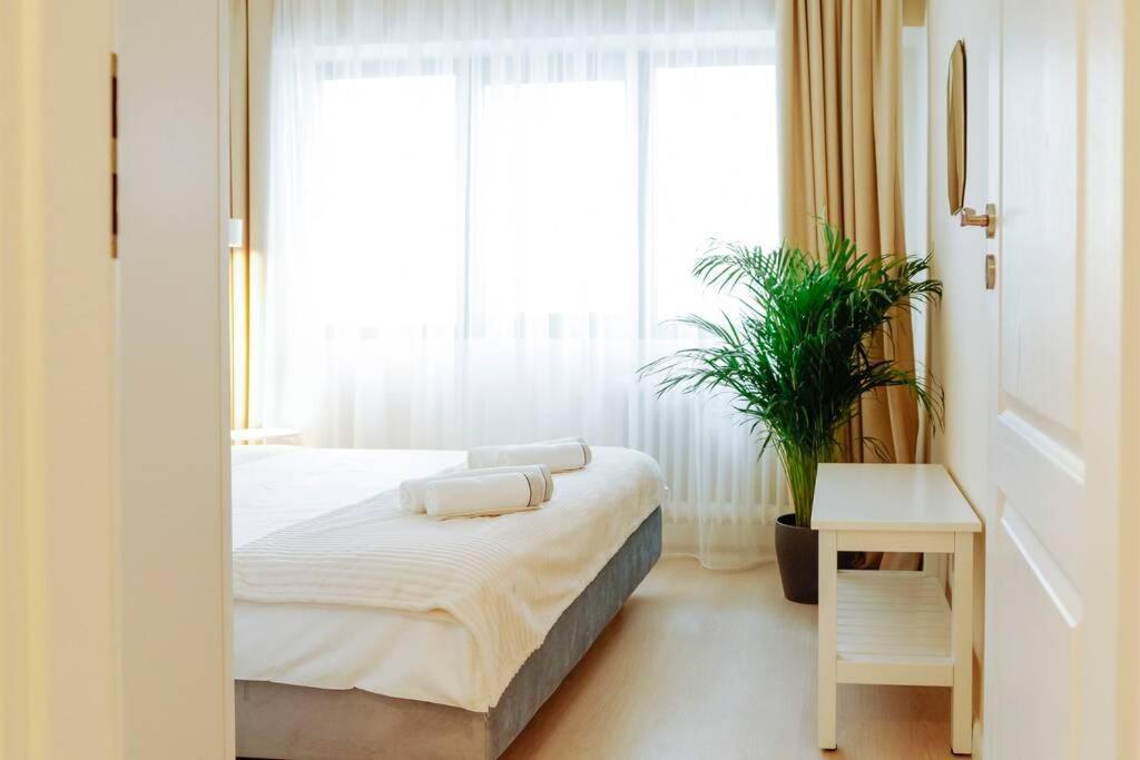 Elegant Vibes Apartment Next To Obor Market Bucureşti Ngoại thất bức ảnh
