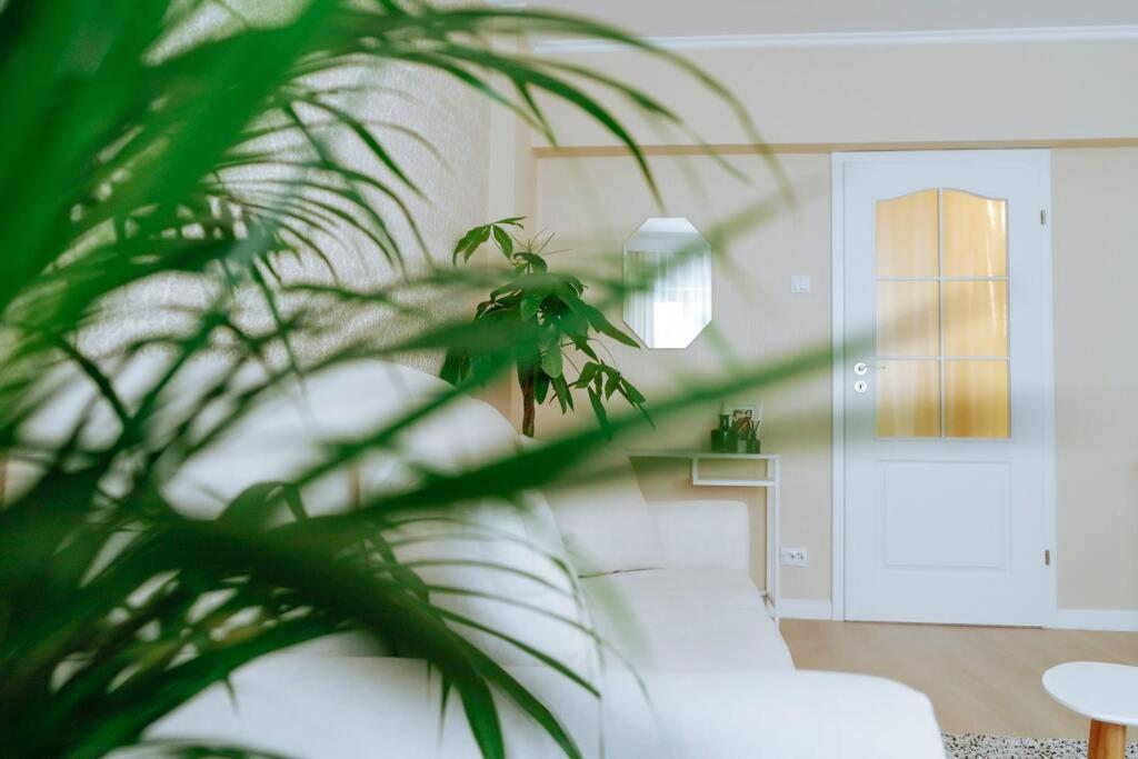 Elegant Vibes Apartment Next To Obor Market Bucureşti Ngoại thất bức ảnh